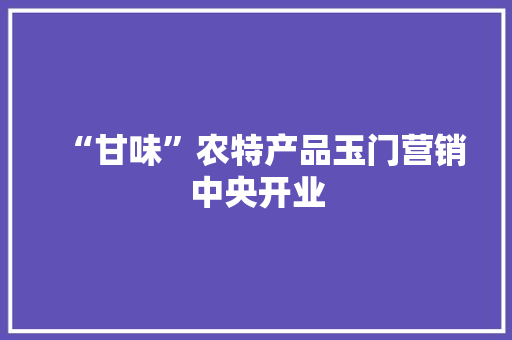 “甘味”农特产品玉门营销中央开业