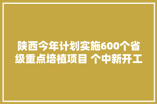 陕西今年计划实施600个省级重点培植项目 个中新开工项目158个