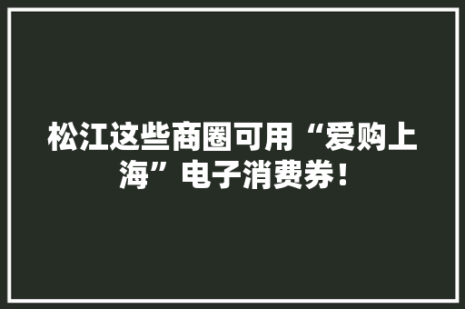 松江这些商圈可用“爱购上海”电子消费券！