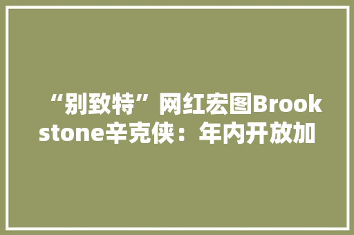 “别致特”网红宏图Brookstone辛克侠：年内开放加盟分销