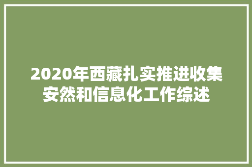 2020年西藏扎实推进收集安然和信息化工作综述