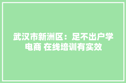 武汉市新洲区：足不出户学电商 在线培训有实效