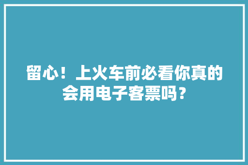留心！上火车前必看你真的会用电子客票吗？