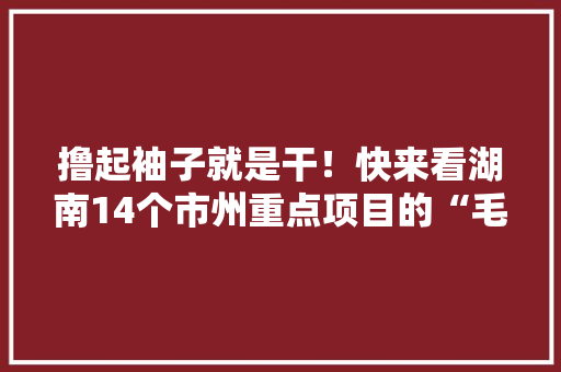 撸起袖子就是干！快来看湖南14个市州重点项目的“毛遂自荐”