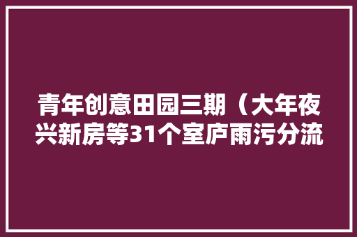 青年创意田园三期（大年夜兴新房等31个室庐雨污分流）排查及初步设计