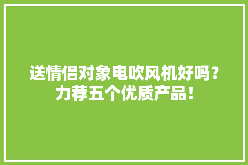 送情侣对象电吹风机好吗？力荐五个优质产品！