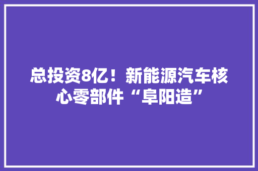 总投资8亿！新能源汽车核心零部件“阜阳造”