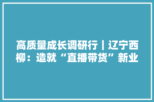高质量成长调研行｜辽宁西柳：造就“直播带货”新业态