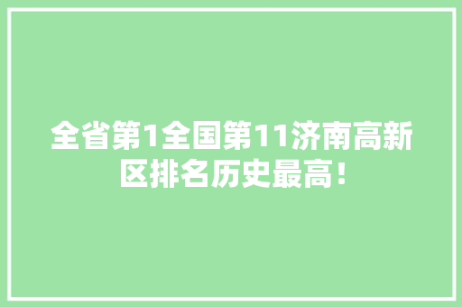 全省第1全国第11济南高新区排名历史最高！