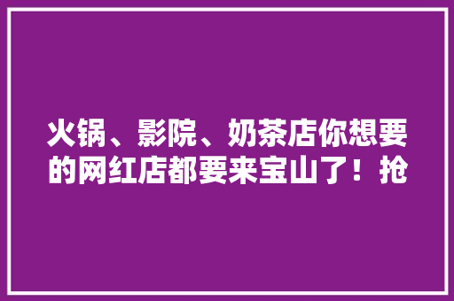 火锅、影院、奶茶店你想要的网红店都要来宝山了！抢先看