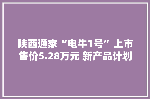 陕西通家“电牛1号”上市售价5.28万元 新产品计划曝光
