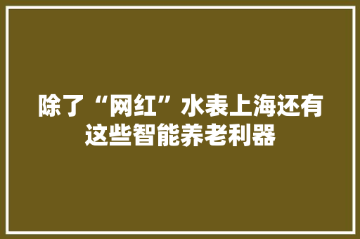 除了“网红”水表上海还有这些智能养老利器