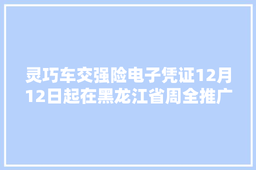 灵巧车交强险电子凭证12月12日起在黑龙江省周全推广应用