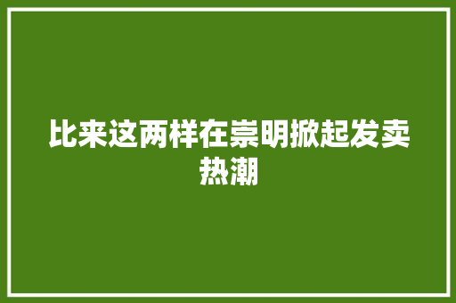 比来这两样在崇明掀起发卖热潮