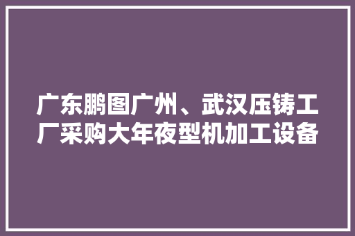 广东鹏图广州、武汉压铸工厂采购大年夜型机加工设备和检测设备 广东鹏图广州、武汉压铸工厂采购大年夜型机加工设备和检测设备 互联通信