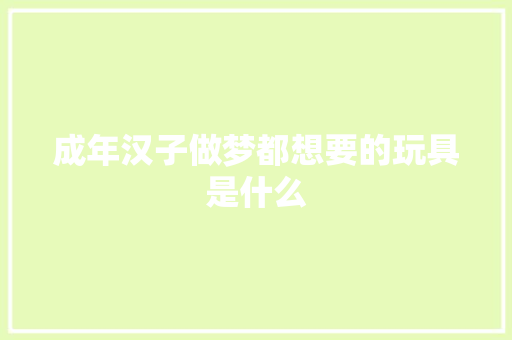 成年汉子做梦都想要的玩具是什么