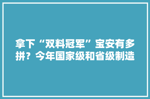 拿下“双料冠军”宝安有多拼？今年国家级和省级制造业单项冠军数量居全市第一