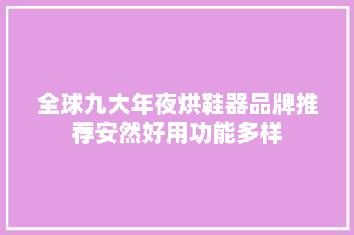 全球九大年夜烘鞋器品牌推荐安然好用功能多样