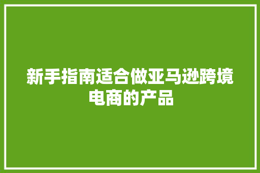 新手指南适合做亚马逊跨境电商的产品