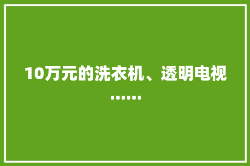 10万元的洗衣机、透明电视......