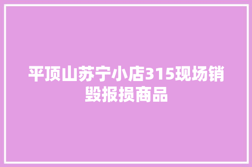 平顶山苏宁小店315现场销毁报损商品