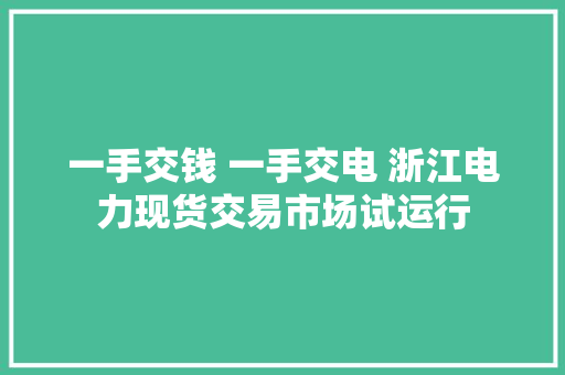 一手交钱 一手交电 浙江电力现货交易市场试运行