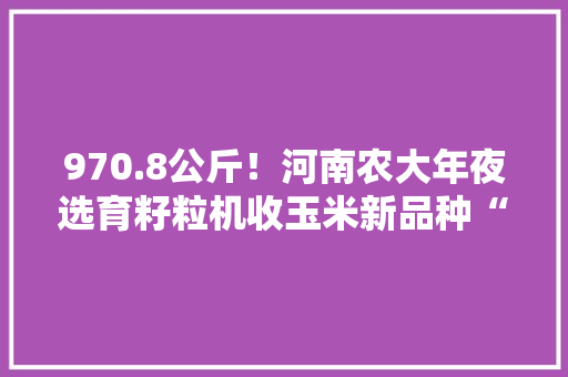 970.8公斤！河南农大年夜选育籽粒机收玉米新品种“豫单976”再创佳绩