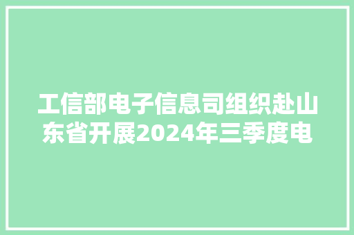 工信部电子信息司组织赴山东省开展2024年三季度电子信息制造业成长形势调研
