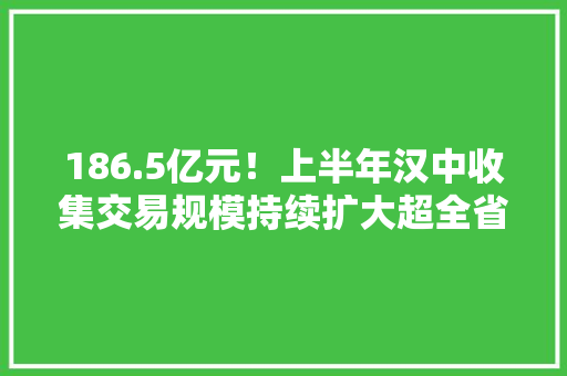 186.5亿元！上半年汉中收集交易规模持续扩大超全省平均水平