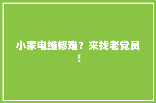 小家电维修难？来找老党员！ 小家电维修难？来找老党员！ 智能家居