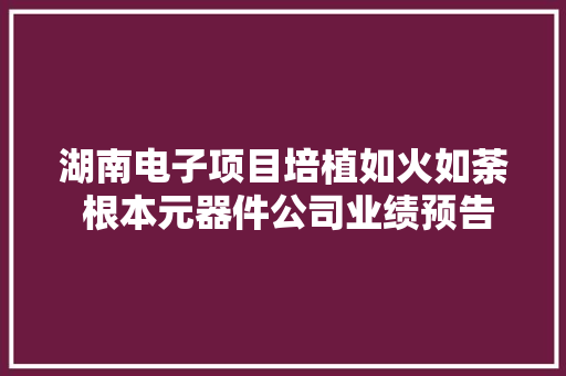 湖南电子项目培植如火如荼 根本元器件公司业绩预告喜人