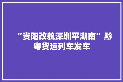 “贵阳改貌深圳平湖南”黔粤货运列车发车