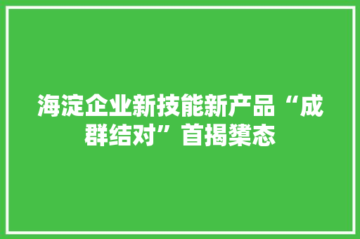 海淀企业新技能新产品“成群结对”首揭橥态