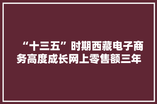 “十三五”时期西藏电子商务高度成长网上零售额三年内增长超10倍 “十三五”时期西藏电子商务高度成长网上零售额三年内增长超10倍 智能科技