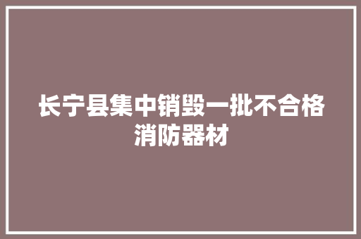 长宁县集中销毁一批不合格消防器材 长宁县集中销毁一批不合格消防器材 智能科技