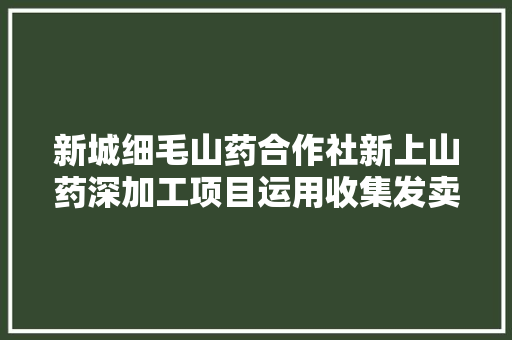 新城细毛山药合作社新上山药深加工项目运用收集发卖产品 山药深加工 产品身价增 新城细毛山药合作社新上山药深加工项目运用收集发卖产品 山药深加工 产品身价增 智能科技
