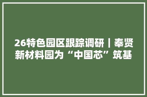 26特色园区跟踪调研｜奉贤新材料园为“中国芯”筑基之路 26特色园区跟踪调研｜奉贤新材料园为“中国芯”筑基之路 智能科技