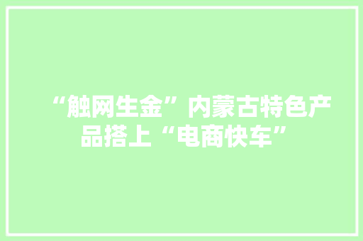 “触网生金”内蒙古特色产品搭上“电商快车”