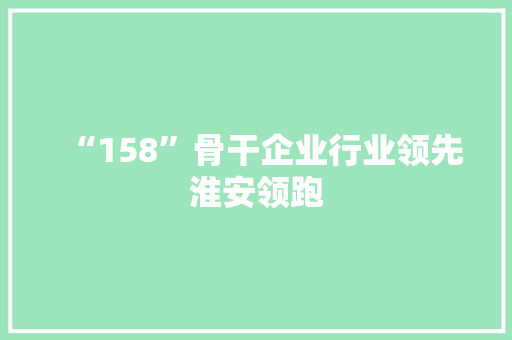 “158”骨干企业行业领先淮安领跑