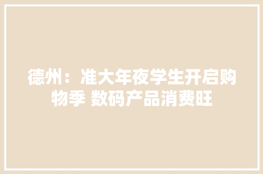 德州：准大年夜学生开启购物季 数码产品消费旺