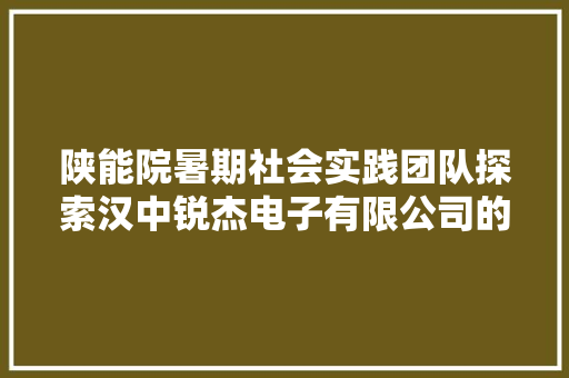 陕能院暑期社会实践团队探索汉中锐杰电子有限公司的科技立异之路