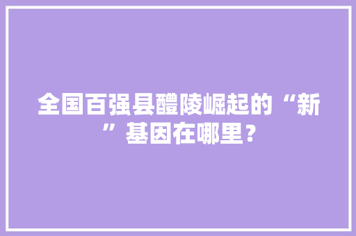 全国百强县醴陵崛起的“新”基因在哪里？ 全国百强县醴陵崛起的“新”基因在哪里？ 人工智能