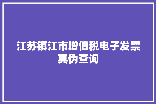 江苏镇江市增值税电子发票真伪查询