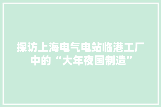 探访上海电气电站临港工厂中的“大年夜国制造”