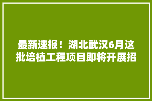 最新速报！湖北武汉6月这批培植工程项目即将开展招标和施工工