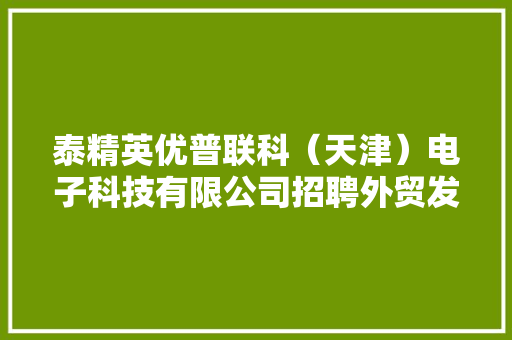 泰精英优普联科（天津）电子科技有限公司招聘外贸发卖经理