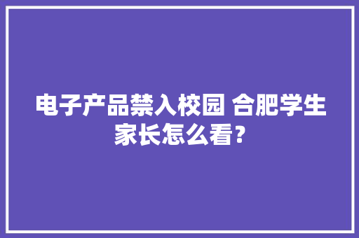 电子产品禁入校园 合肥学生家长怎么看？ 电子产品禁入校园 合肥学生家长怎么看？ 智能家居