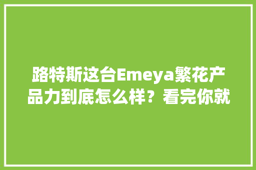 路特斯这台Emeya繁花产品力到底怎么样？看完你就明白了