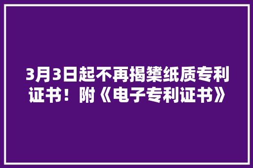 3月3日起不再揭橥纸质专利证书！附《电子专利证书》下载指南