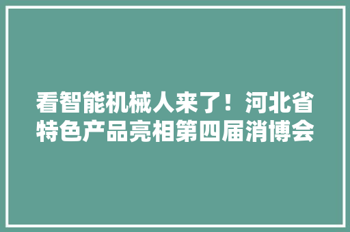 看智能机械人来了！河北省特色产品亮相第四届消博会 看智能机械人来了！河北省特色产品亮相第四届消博会 智能科技